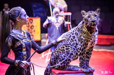 Легендарный «Цирк зверей» Филатовых-Клыковых приезжает в Ярославль