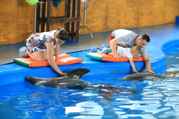 Ярославский дельфинарий готовит сюрпризы для школьников