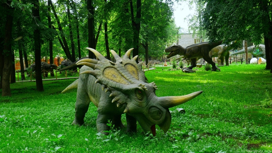 Парк динозавров ярославль. Парк динозавров в Ярославле на проспекте Ленина. Парк динозавров Пенза парк Белинского.