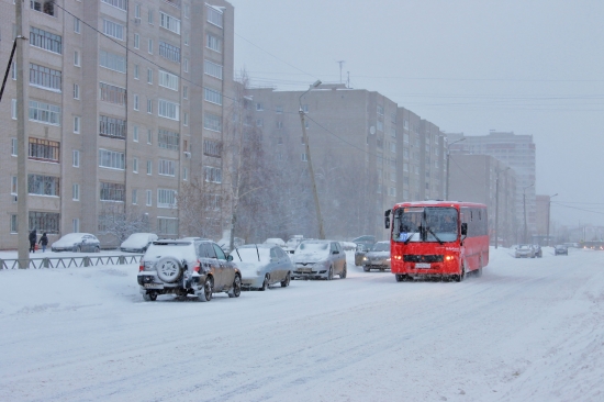 Морозы в Ярославле завершатся мощным и продолжительным снегопадом