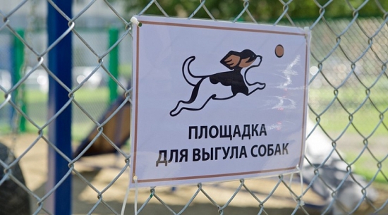 Стало известно, где в Ярославле могут появиться площадки для выгула собак