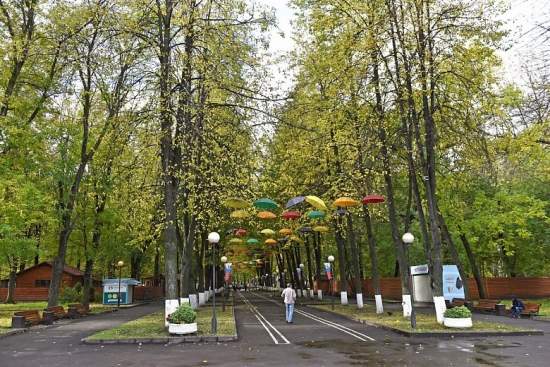В Ярославле благоустроят Бутусовский и Юбилейный парки: что нового появится