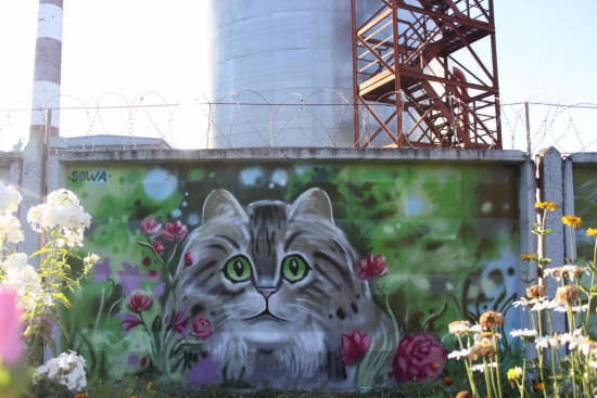 Ярославцев приглашают принять участие в Городском фестивале граффити