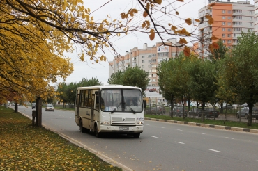 Ярославцы хотели бы сохранить возможность останавливаться маршруткам вне остановок