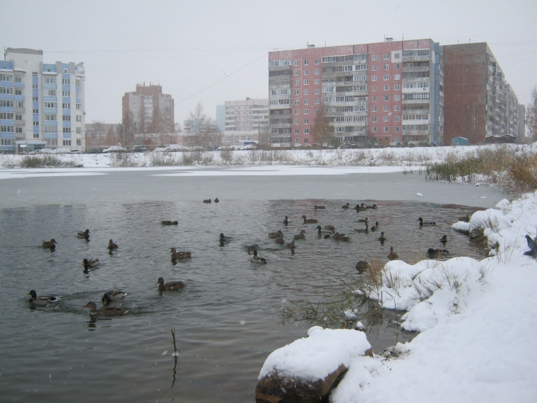 Прогноз погоды: к празднику Пасхи в Ярославль может вернуться зима